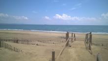 Plage gracieuse