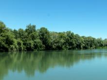 Ripisylve rhône